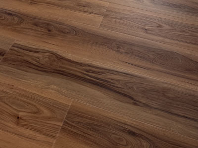 Lakeshore Houghton Lake